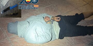 Detenido in fraganti un hombre armado por rajar las ruedas de siete vehículos junto a la terminal de cruceros de Málaga