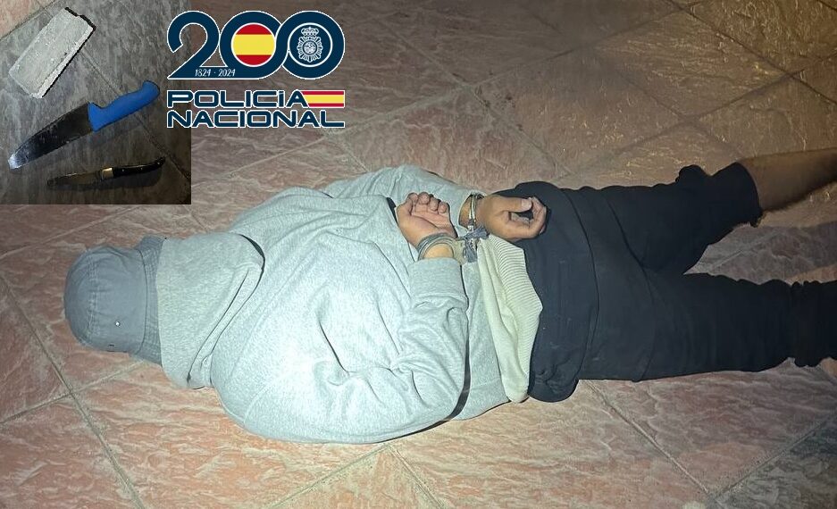 Detenido in fraganti un hombre armado por rajar las ruedas de siete vehículos junto a la terminal de cruceros de Málaga