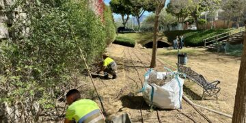 El Ayuntamiento de Fuengirola renueva el Parque Aromático de Miramar