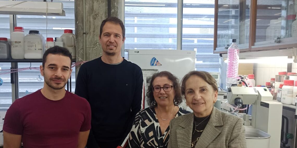 Andalucía desarrolla una nanocápsula que dirige fármacos antibacterianos al origen de la infección