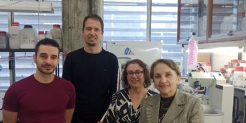 Andalucía desarrolla una nanocápsula que dirige fármacos antibacterianos al origen de la infección