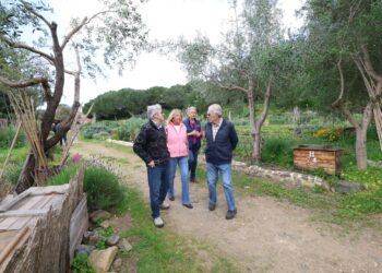 Los huertos urbanos de Marbella consolidan su uso social tras más de una década y rozan ya el centenar de usuarios