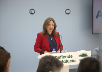Navarro anuncia que los alcaldes del PP serán los jefes de campaña en cada municipio de cara al 17M