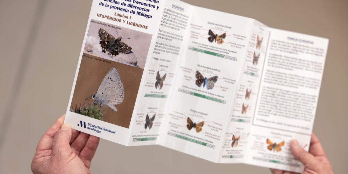 La Diputación edita una guía para identificar 60 especies de las mariposas más frecuentes de la provincia