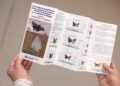 La Diputación edita una guía para identificar 60 especies de las mariposas más frecuentes de la provincia