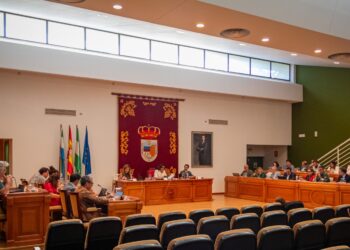 Torremolinos aprueba en pleno una moción declarativa en defensa de la Formación Profesional inclusiva