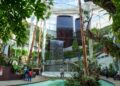 Estepona, más de diez años cultivando el mayor jardín de orquídeas de Europa