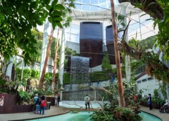 Estepona, más de diez años cultivando el mayor jardín de orquídeas de Europa