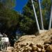 La obra del centro de usos múltiples junto a la ermita del Calvario alcanza el 30 por ciento de su ejecución