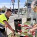 Mijas instalará nuevos paneles informativos en las paradas de bus metropolitano para mejorar la movilidad