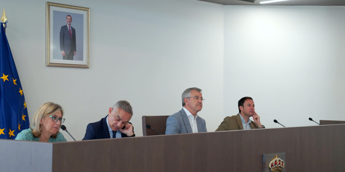 El Pleno culmina el trámite para que comiencen las obras de 117 VPO en Estepona