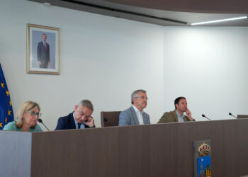 El Pleno culmina el trámite para que comiencen las obras de 117 VPO en Estepona