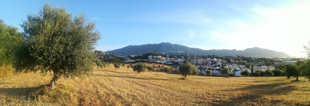 Mijas recuerda a los propietarios la obligación de limpiar y desbrozar parcelas para prevenir incendios