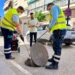El Ayuntamiento de Fuengirola refuerza las labores de desinsectación ante el aumento de las temperaturas