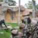 BIOPARC llama a la acción para proteger África en la conmemoración de su Día Mundial