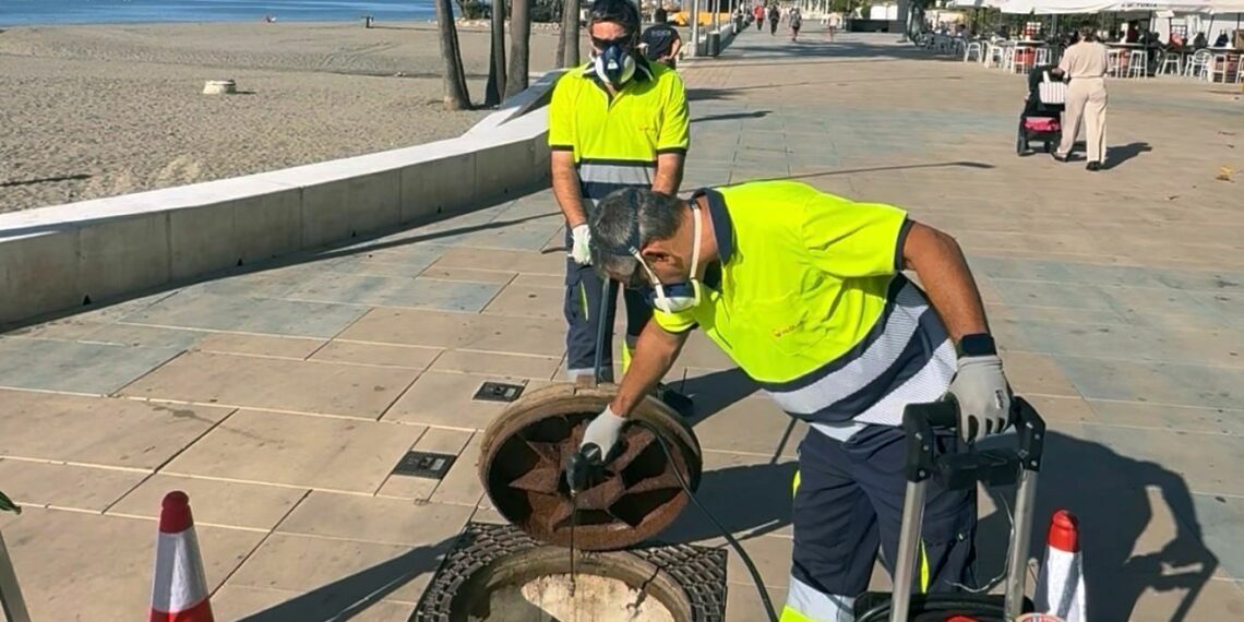 Estepona refuerza el servicio de control de plagas con más personal y amplia los trabajos durante todo el año