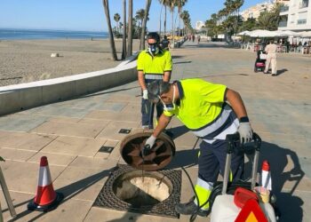 Estepona refuerza el servicio de control de plagas con más personal y amplia los trabajos durante todo el año