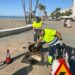 Estepona refuerza el servicio de control de plagas con más personal y amplia los trabajos durante todo el año
