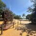Finaliza la remodelación integral del Parque de la Constitución