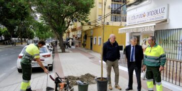 Un plan paisajístico y de sostenibilidad urbana en San Pedro traerá 300 nuevos árboles antes de verano