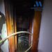 Cuatro afectados tras el incendio de una vivienda en Estepona