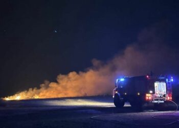 Los bomberos de Mijas controlan de madrugada un incendio forestal en Cerrado del Águila