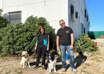 Así trabaja K9 Málaga: el perro como puente emocional para conectar con el mundo
