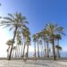 Marbella mantiene su crecimiento en ocupación, rentabilidad y empleo turístico en marzo