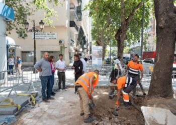 El Ayuntamiento inicia las obras de renovación integral del acerado en la avenida Ricardo Soriano