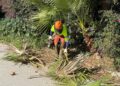 Benalmádena activa un nuevo bando para reforzar la prevención de incendios que incluye la prohibición de barbacoas en terrenos forestales y exige la limpieza de parcelas