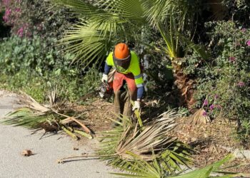 Benalmádena activa un nuevo bando para reforzar la prevención de incendios que incluye la prohibición de barbacoas en terrenos forestales y exige la limpieza de parcelas