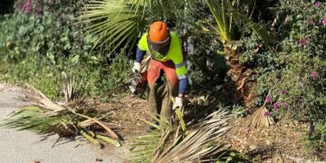 Benalmádena activa un nuevo bando para reforzar la prevención de incendios que incluye la prohibición de barbacoas en terrenos forestales y exige la limpieza de parcelas