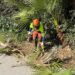 Benalmádena activa un nuevo bando para reforzar la prevención de incendios que incluye la prohibición de barbacoas en terrenos forestales y exige la limpieza de parcelas