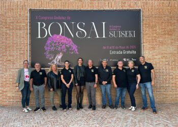 Benalmádena acoge este fin de semana el X Congreso Andaluz de Bonsái y el III Nacional de Suseiki