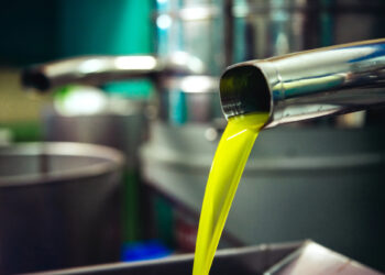 Andalucía, líder en exportaciones agroalimentarias de España hasta febrero de 2026 al superar los 3.000 M€