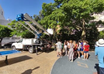 Estepona amplía la instalación de cajas nido para murciélagos y rapaces nocturnas en el municipio