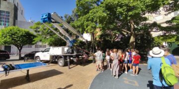 Estepona amplía la instalación de cajas nido para murciélagos y rapaces nocturnas en el municipio