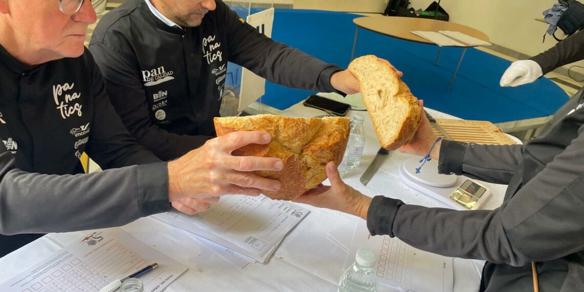 Catorce panaderías artesanas malagueñas participan hoy en la semifinal andaluza de La Ruta de los 50 Panaderos Top de España