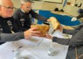 Catorce panaderías artesanas malagueñas participan hoy en la semifinal andaluza de La Ruta de los 50 Panaderos Top de España