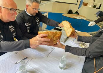 Catorce panaderías artesanas malagueñas participan hoy en la semifinal andaluza de La Ruta de los 50 Panaderos Top de España