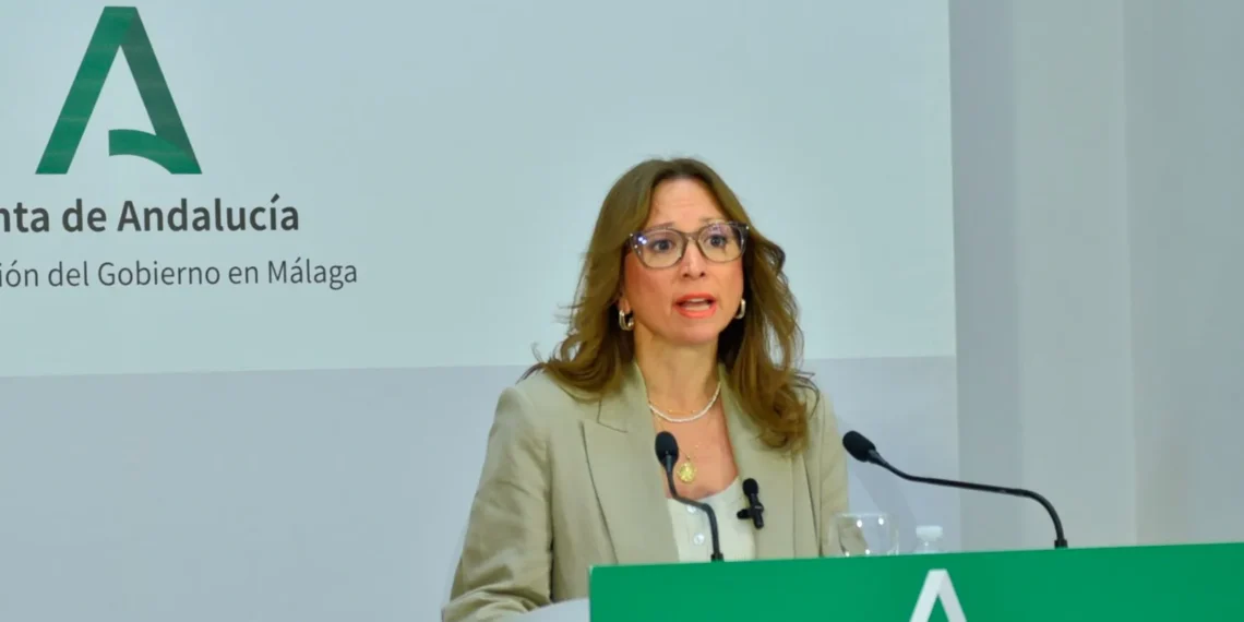 La Junta alerta de la «saturación» de la red eléctrica en la provincia y pide más infraestructuras al Gobierno central