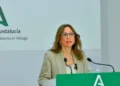 La Junta alerta de la «saturación» de la red eléctrica en la provincia y pide más infraestructuras al Gobierno central