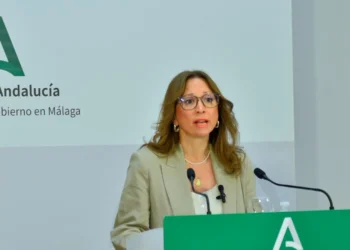 La Junta alerta de la «saturación» de la red eléctrica en la provincia y pide más infraestructuras al Gobierno central