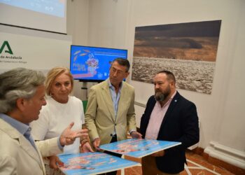 La Junta pone en valor la excelencia de la gastronomía andaluza con la promoción del III Concurso de Fritura Malagueña