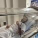 La Clínica Médica Hiperbárica de Estepona, una ayuda fundamental para el milagro del CD Estepona