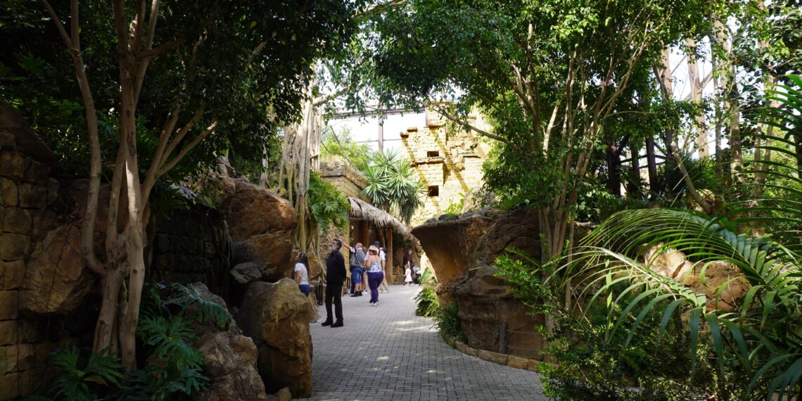 BIOPARC muestra el máximo compromiso con los bosques tropicales, uno de los ecosistemas más valiosos y amenazados del planeta