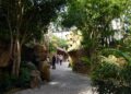 BIOPARC muestra el máximo compromiso con los bosques tropicales, uno de los ecosistemas más valiosos y amenazados del planeta
