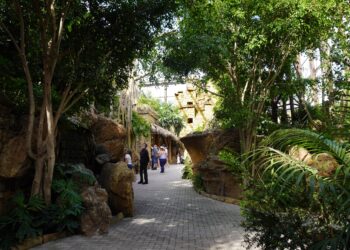 BIOPARC muestra el máximo compromiso con los bosques tropicales, uno de los ecosistemas más valiosos y amenazados del planeta