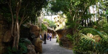 BIOPARC muestra el máximo compromiso con los bosques tropicales, uno de los ecosistemas más valiosos y amenazados del planeta