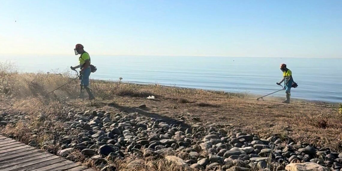 El Ayuntamiento de Estepona desbroza y limpia los más de treinta tramos de corredor litoral